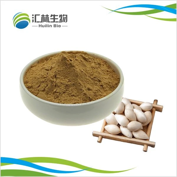 Ginkgo Özü Tozu